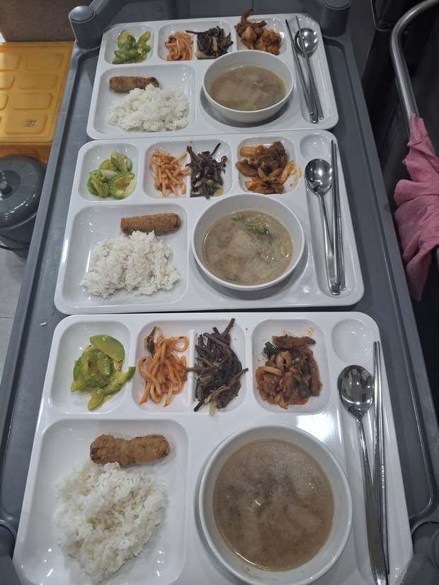 따뜻한 점심 식사